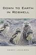 Down to Earth in Roswell