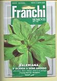 LAMB'S LETTUCE D'OLANDA A SEME GROSSO