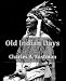 Old Indian Days
