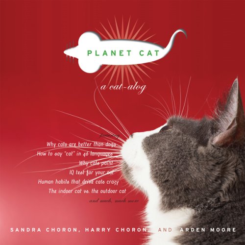 Planet Cat A CAT alog