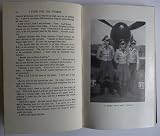 I flew for the Führer : the story of a German airman