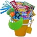 Fun In The Sun Childrens Playtime Activity Gift Basket with Cookies and Candy