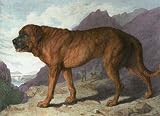 Alpine Mastiff Etching Landseer, Sir Edwin H Thomas Animals, Dogs Birds Engraving Intaglio