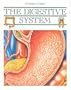 Digestive System (Invis World) (Invisible World)
