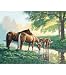 Paint By Number Kit 20''X16''-Horses By A Stream