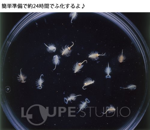 饲育玩具【图片 价格 包邮 视频】_淘宝助理