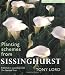 Planting Schemes from Sissinghurst: Classic Garden Inspirations