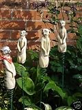 Set Of 4 Meerkats On Stakes
