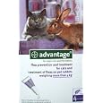Cheapest Advantage for Cats Over 9 Lbs. ~~ 4 Months (Purple)