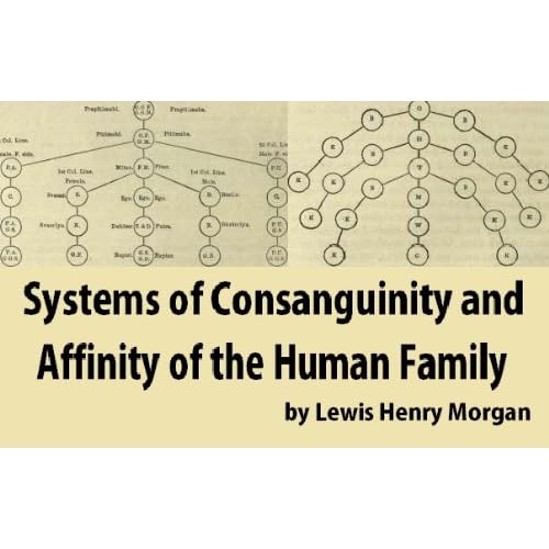 Image Systems of Consanguinity and Affinity of the Human Family Lewis