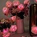 lychee Rose Fairy String Lights for Room Home Garden Christmas Party Decoration (Pink, 2.2m 20Leds)