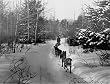 Man Traveling by Dogsled, Alaska, 1911 Photograph - Beautiful 16"x20" Photographic Print from the Library of Congress Collection