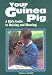 Your Guinea Pig : A Kid's Guide to Raising and Showing