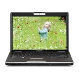 Toshiba Ultra Portable Satellite U505-S2940 13.3-Inch Laptop - Brown/Grey