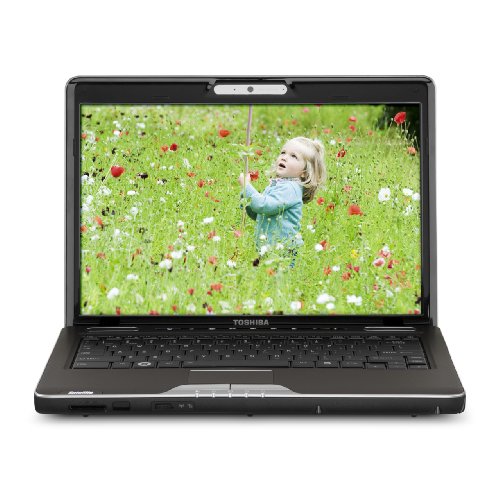 Toshiba Ultra Portable Satellite U505-S2940 13.3-Inch Laptop - Brown/Grey
