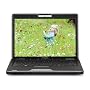 Toshiba Ultra Portable Satellite U505-S2940 13.3-Inch Laptop - Brown/Grey