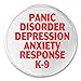 Panic Disorder Depression Anxiety Response 3