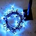 100 Blue Solar Powered LED Lights