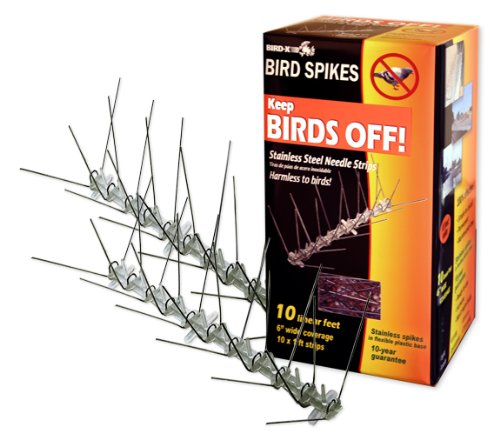 thanksgiving Bird X STS 10 R Stainless Bird SpikesB000Z5E4IE