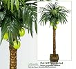 ONE 12' Artificial Coconut Palm Tree with Three Coconuts, with No Pot