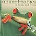 Animal Babies in Ponds and Rivers