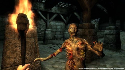 Elder Scrolls 4: Oblivion Collector's Edition (DVD-ROM) image