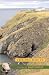 The Pig Did It (Hardcover) by Joseph Caldwell