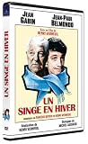 Un Singe en hiver