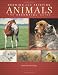 Drawing And Painting Animals: The Essential Guide