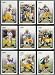 2006 Score Green Bay Packers Football Card Complete Set of 13 Cards including Brett F...