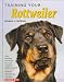 Training Your Rottweiler