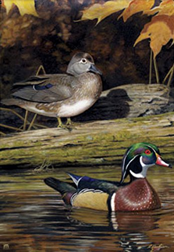 MagnetWorksMAIL35763 Wood Duck Garden Flag