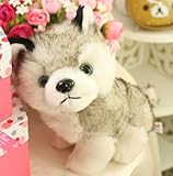 かわいい シベリアンハスキーのぬいぐるみ 子犬 30cm Siberian