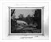 Historic Print (L): [Botanical gardens of the Imperial Military Medical School] / fotograf Foebus.