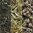 jasmine tea collection