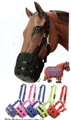 Hot colors Padded Grazing Muzzle with Halter