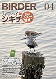 BIRDER 2013年 4月号 [雑誌]