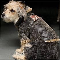 Dog Bomber Jacket