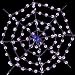 Lighted Spider Web