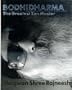 Bodhidharma: Commentaries on the teachings of the messenger of Zen from India to China