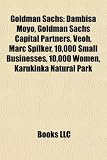 Goldman Sachs: Dambisa Moyo, Goldman Sachs Capital Partners, Veoh, Marc Spilker, 10,000 Small Businesses, 10,000 Women, Karukinka Natural Park