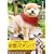 ����� �c�b�}���V�o DVD