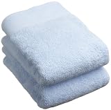 Pinzon Classic Cotton Hand Towel 2-Pack, Sky