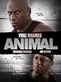 play video on Amazon Instant Video