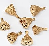 ~Coco Heart~　ハスヘッド　ミニ　ゴールド　10個　（木の実・ドライフラワー・クリスマス）