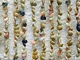 Shell Bathroom Bedroom Beaded Door or Window Curtain