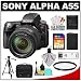 Sony Alpha A55 Translucent Mirror Technology Digital SLR Camera Body & 18-250mm DT Lens with 32GB Card + Battery + Filter + Case + Tripod + Accessory Kit