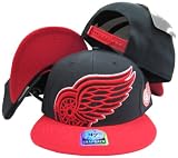 Detroit Red Wings Black Out Two Tone Snapback Adjustable Plastic Snap Back Hat/Cap