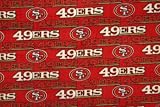 NFL San Francisco 49ers Football Fleece Fabric Print By the Yard