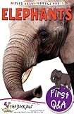 Elephants